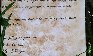 Love letter to Olivia